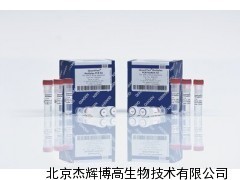 Qiagen QIAamp DNA Blood Mini Kit（51185）—— 北京杰輝博高生物技術(shù)專業(yè)供應(yīng)與服務(wù)